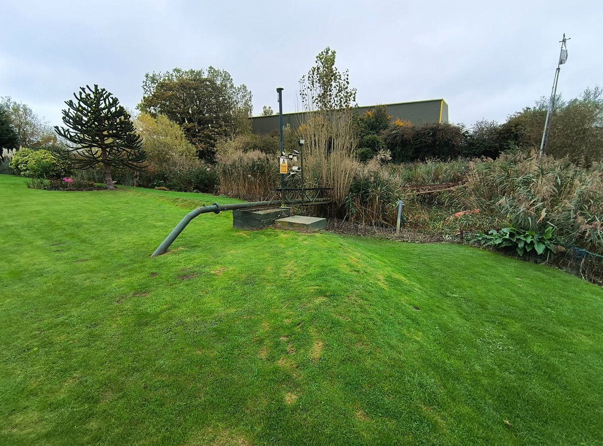 A local garden looked after by Sandwich Lawn Mowing