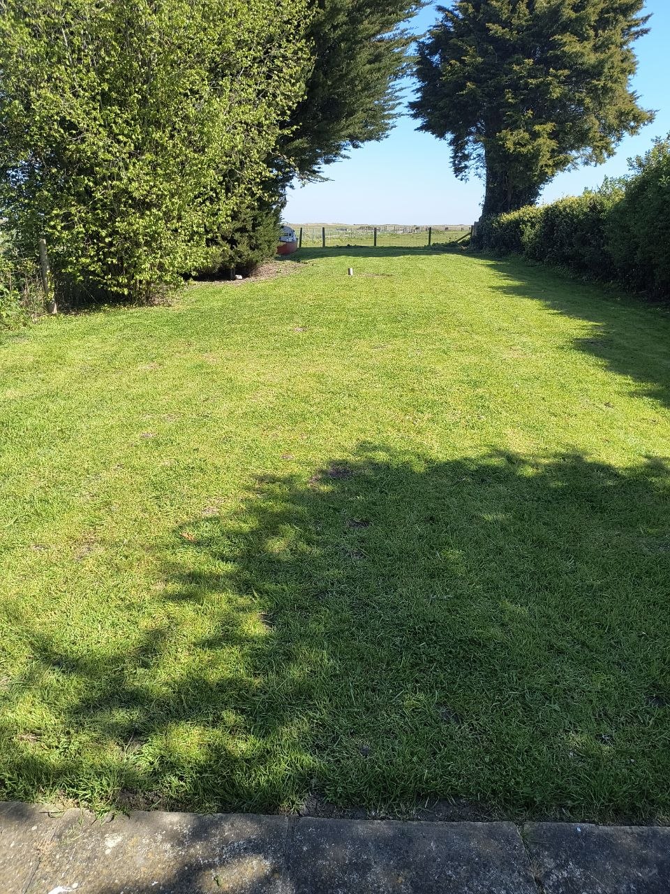Back lawn near Deal with a stripe finish after a three-weekly mow, edges trimmed and tidied