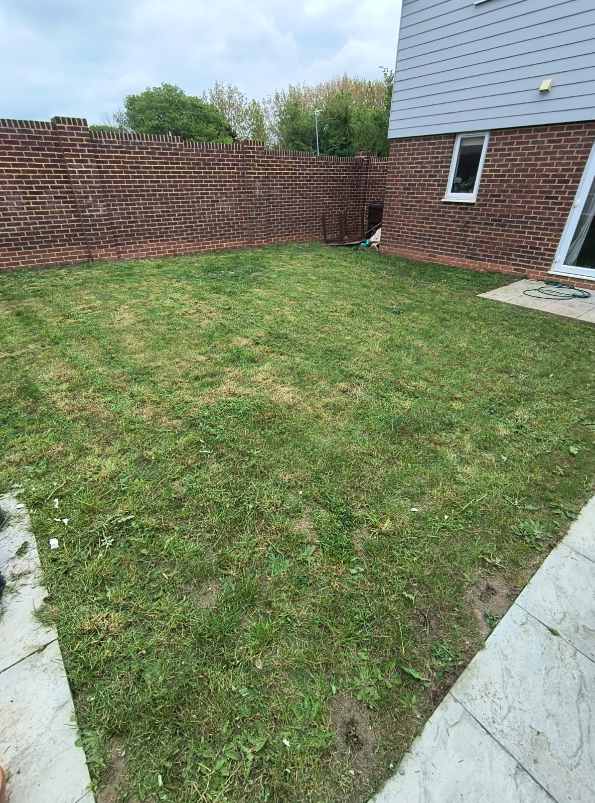 Enclosed back garden in Minster with freshly mowed lawn and brick boundary walls