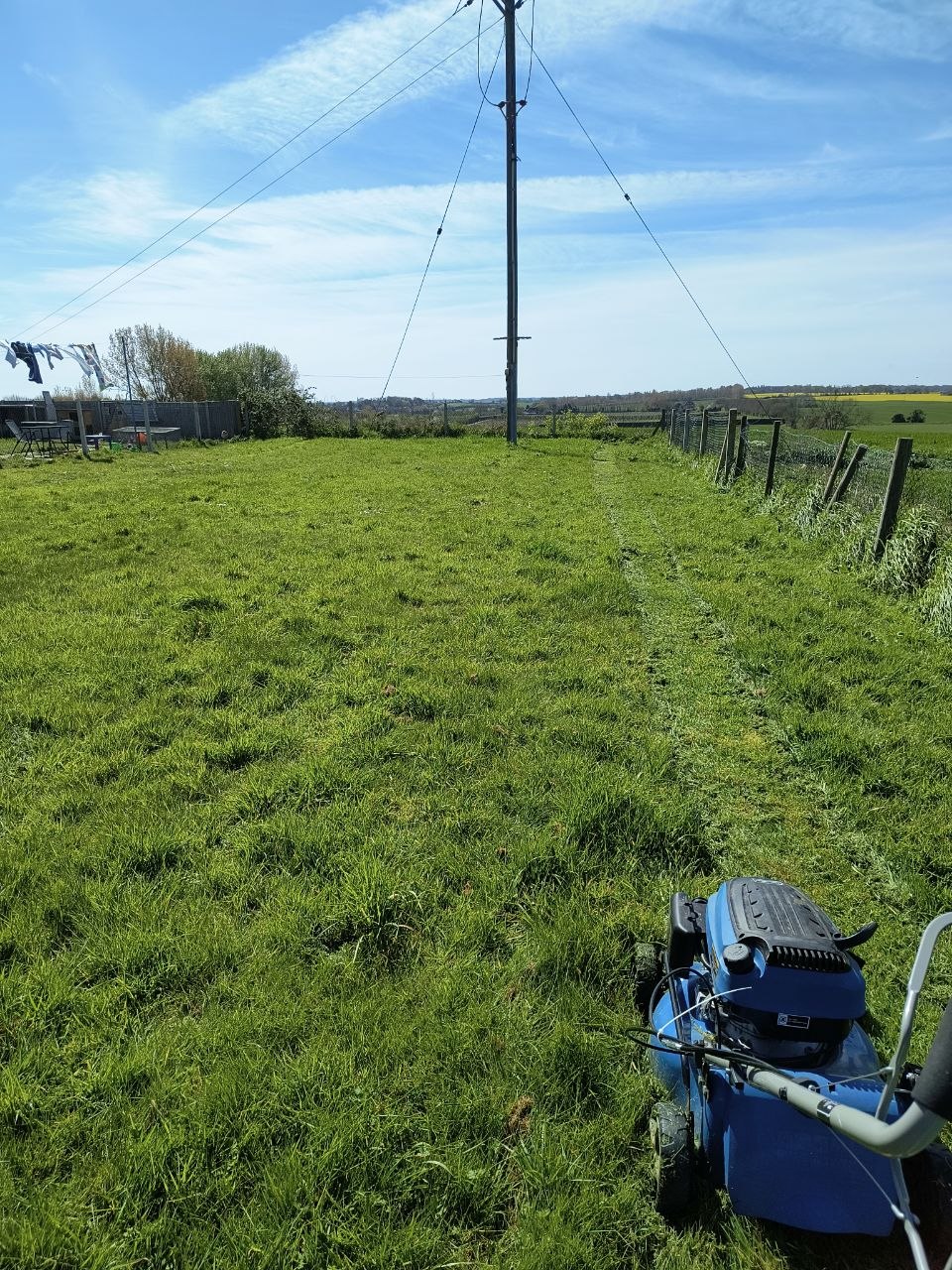 Good-sized back lawn near Canterbury after a mow and tidy, edges crisp and borders neat