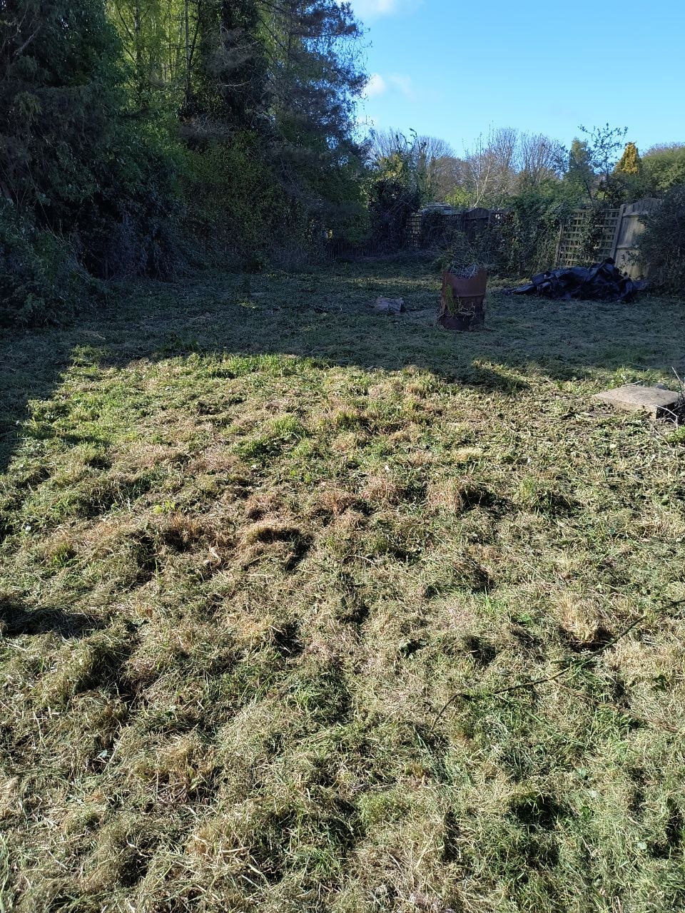 Lawn near Sandwich after a first-visit mow, strim and weed treatment, with a heavy thatch layer spotted
