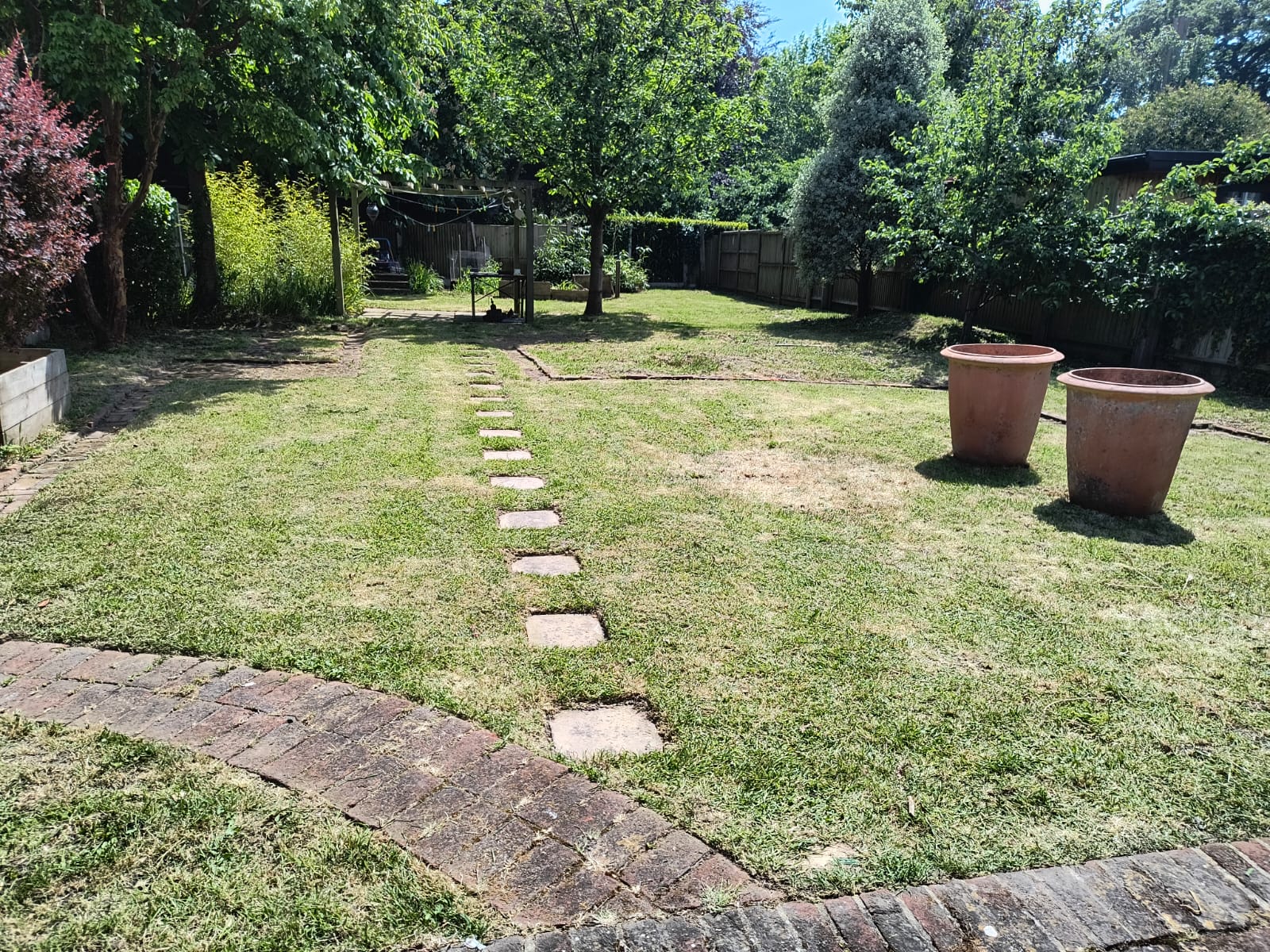 Back lawn near Walmer after mowing, stepping stones and brick edging now clearly visible, terracotta pots on show