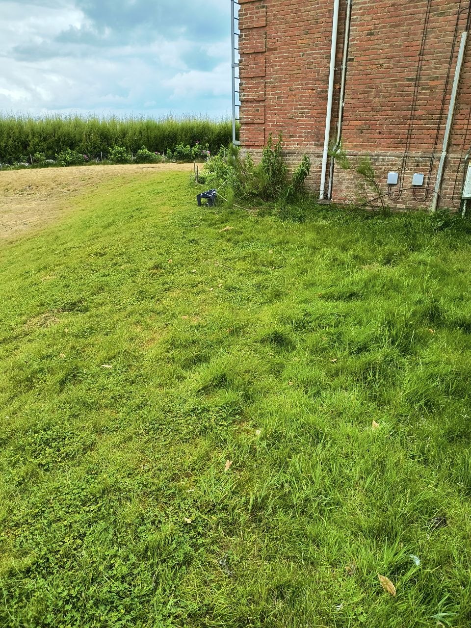 Coastal manor back lawn finished — neat green, rolling toward sea grass beyond the boundary.