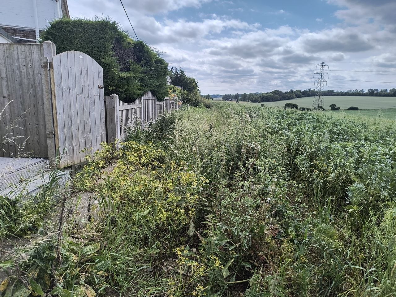 Wide view across open fields toward the horizon from the property's boundary, with knee-high overgrowth along the customer's own side of the fence in the foreground.