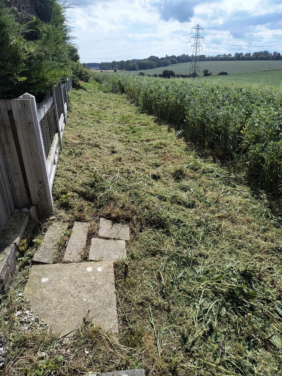 Boundary strip after clearance — slab path visible, edges clean, open-field view restored along the fence line.